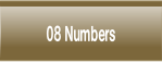 08 Numbers.